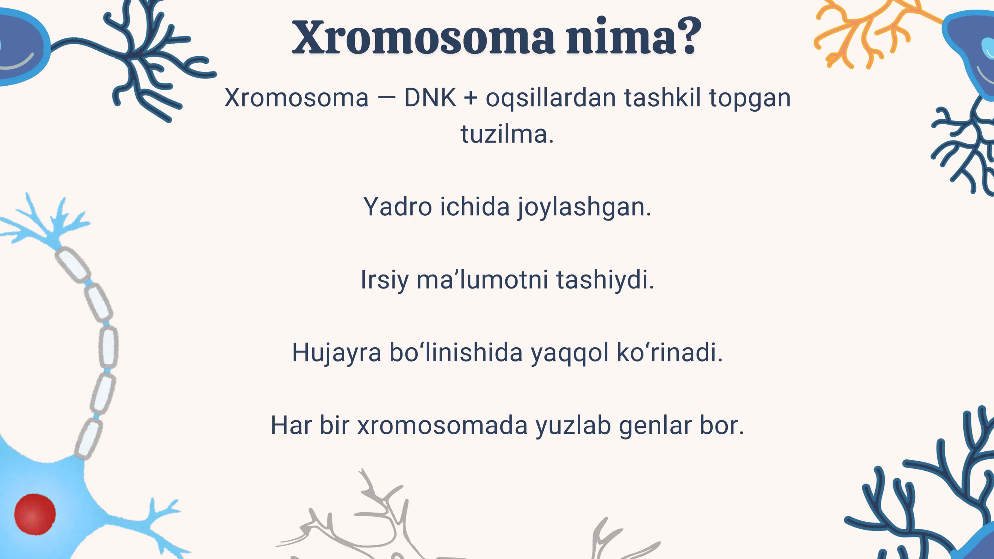 Xromosoma va Genom 2