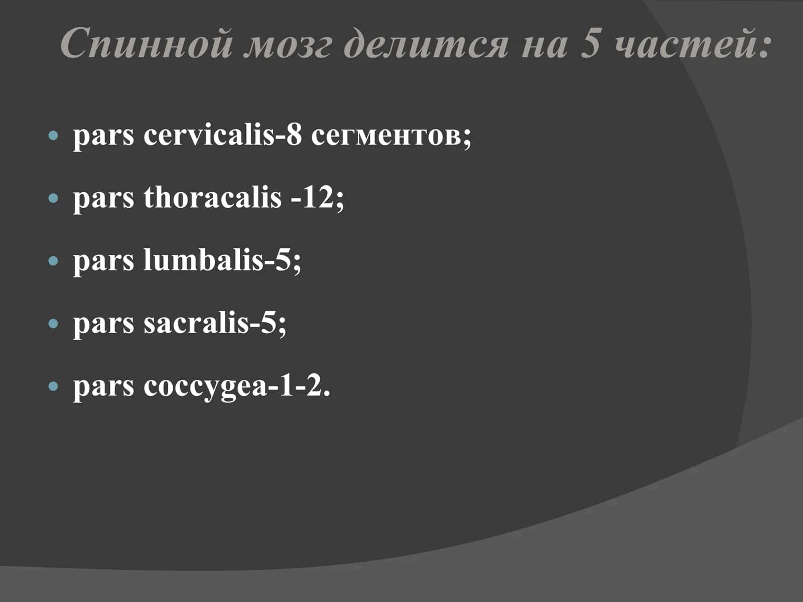 Асаб системасининг клиник анатомияси 2