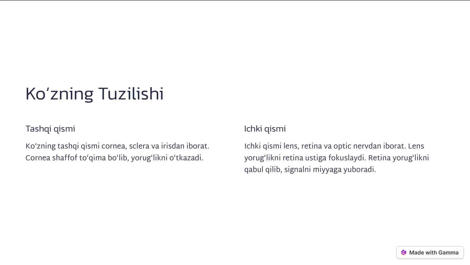 Koʻzning Optik Tizimi va Yorugʻlikka Tasiri 2