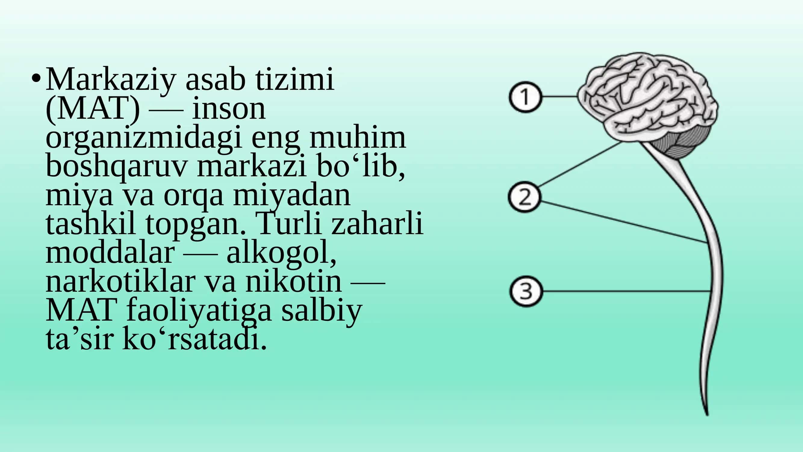 Markaziy asab sistemasiga zaharlarning(alkogol,narkotiklar,nikotin)taʼsiri 2