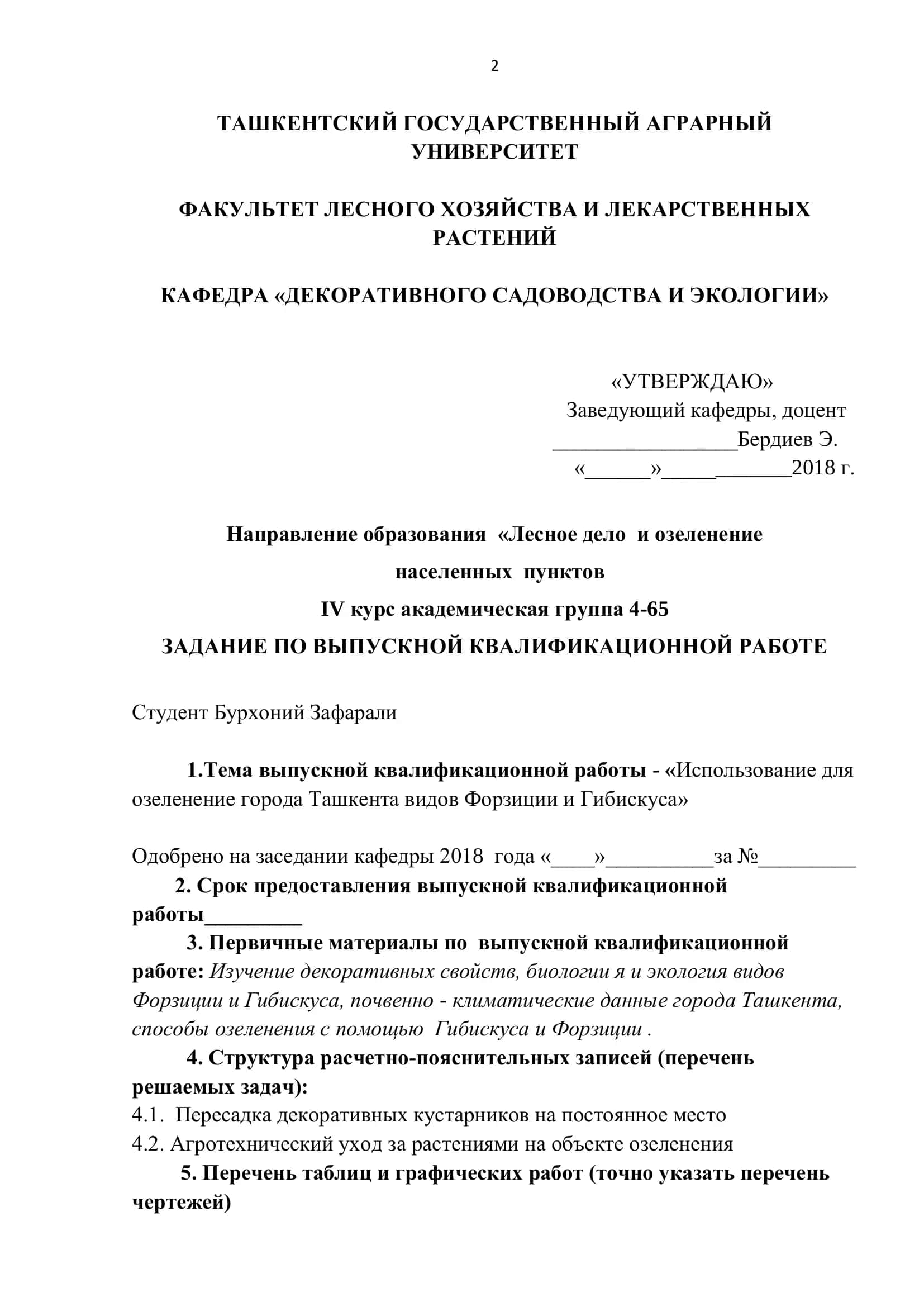 Выпускная квалификационная работа 2