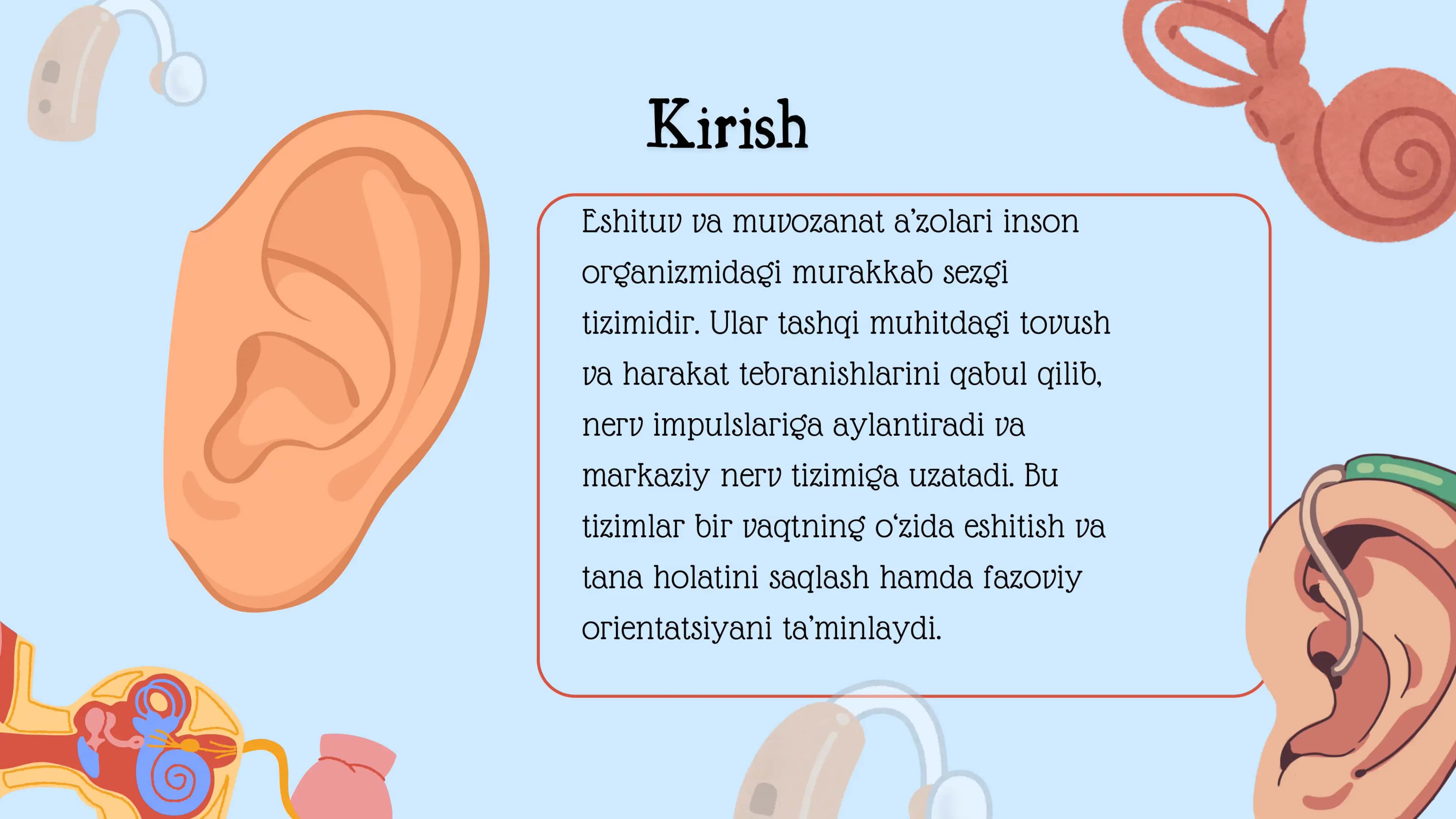 Eshituv va muvozanat aʼzolari 2