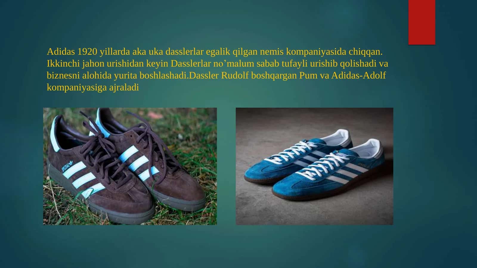 Adidas 1920 yillarda aka uka Dasslerlar egalik qilgan kompaniya 2