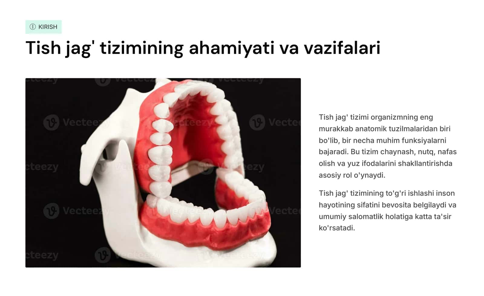 Tish jag‘ tizimining funksional  anatomiyasi. Yuqori va pastki jag‘ qattiq tanglay. Kontraforslar. Chaynov va mimik mushaklar 2