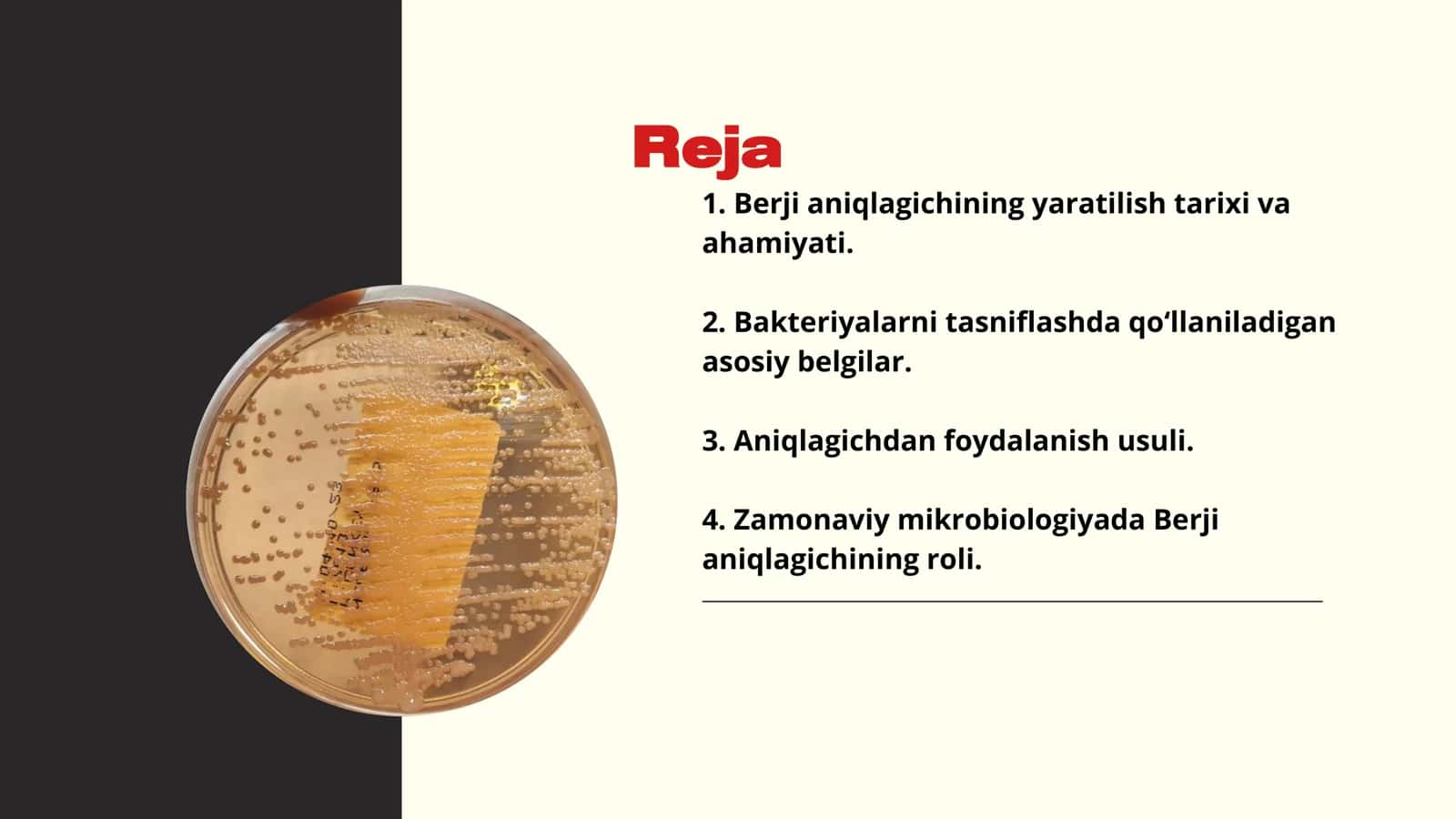 Bakteriyalarning berji aniqlagichi 2
