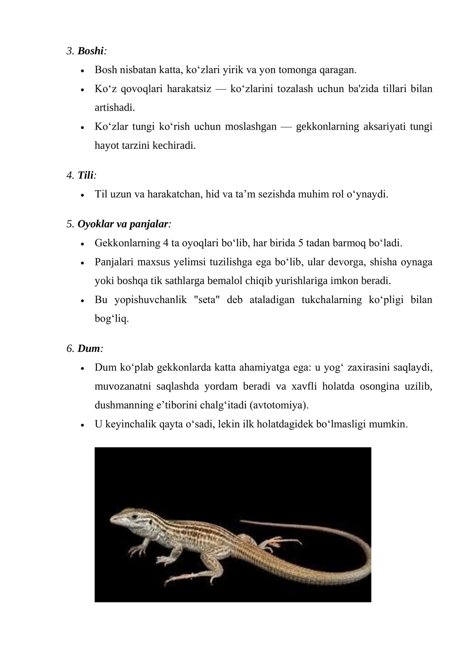 Qon aylanish, nafas olish va hazm qilish tizimlarining ontofilogenezini o‘rganish (gekkon va kaptar misolida) 2