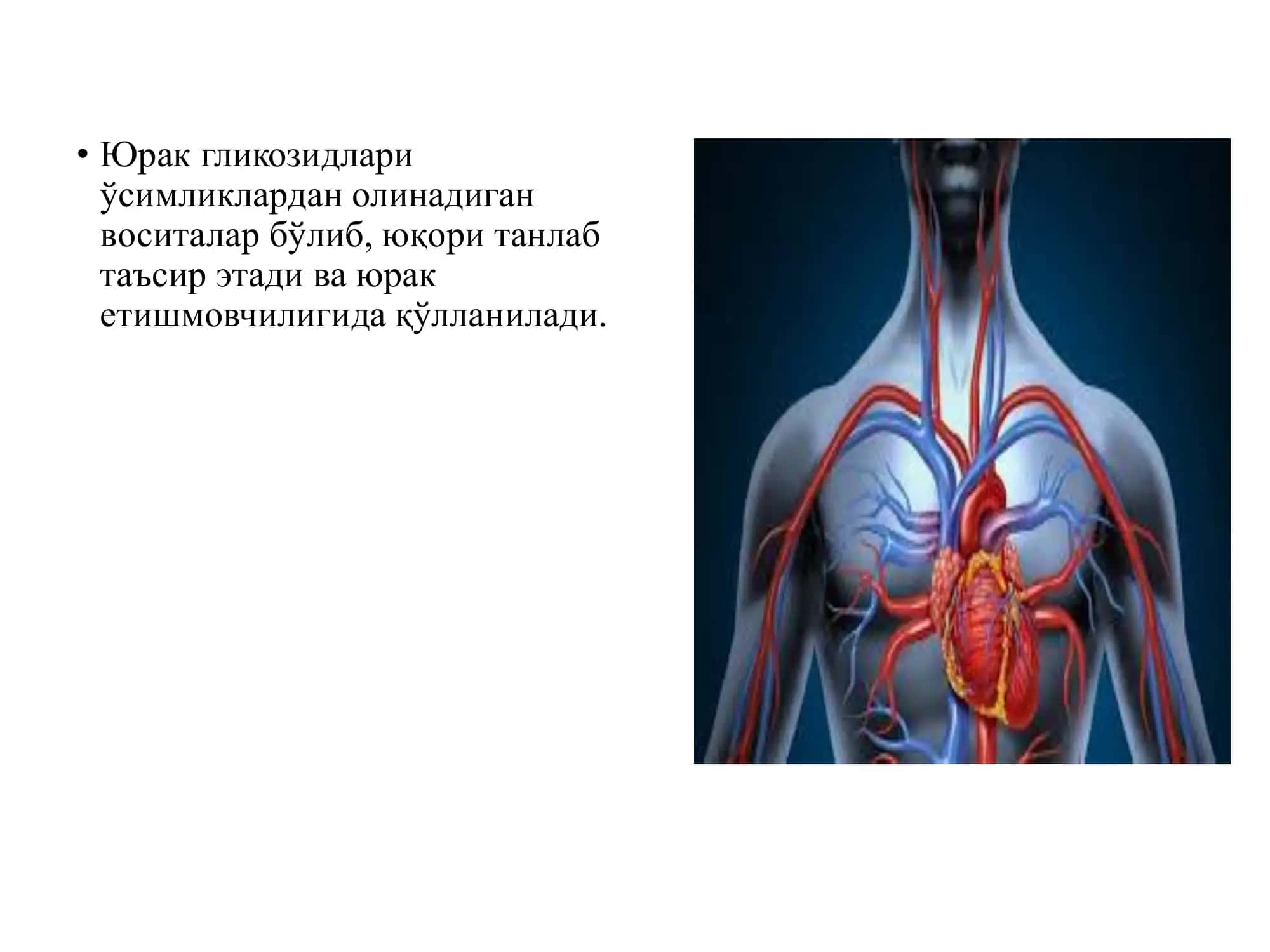 Фармакология, Клиник Фармакология ва Тиббиёт Биотехнологиялари Кафедраси 2