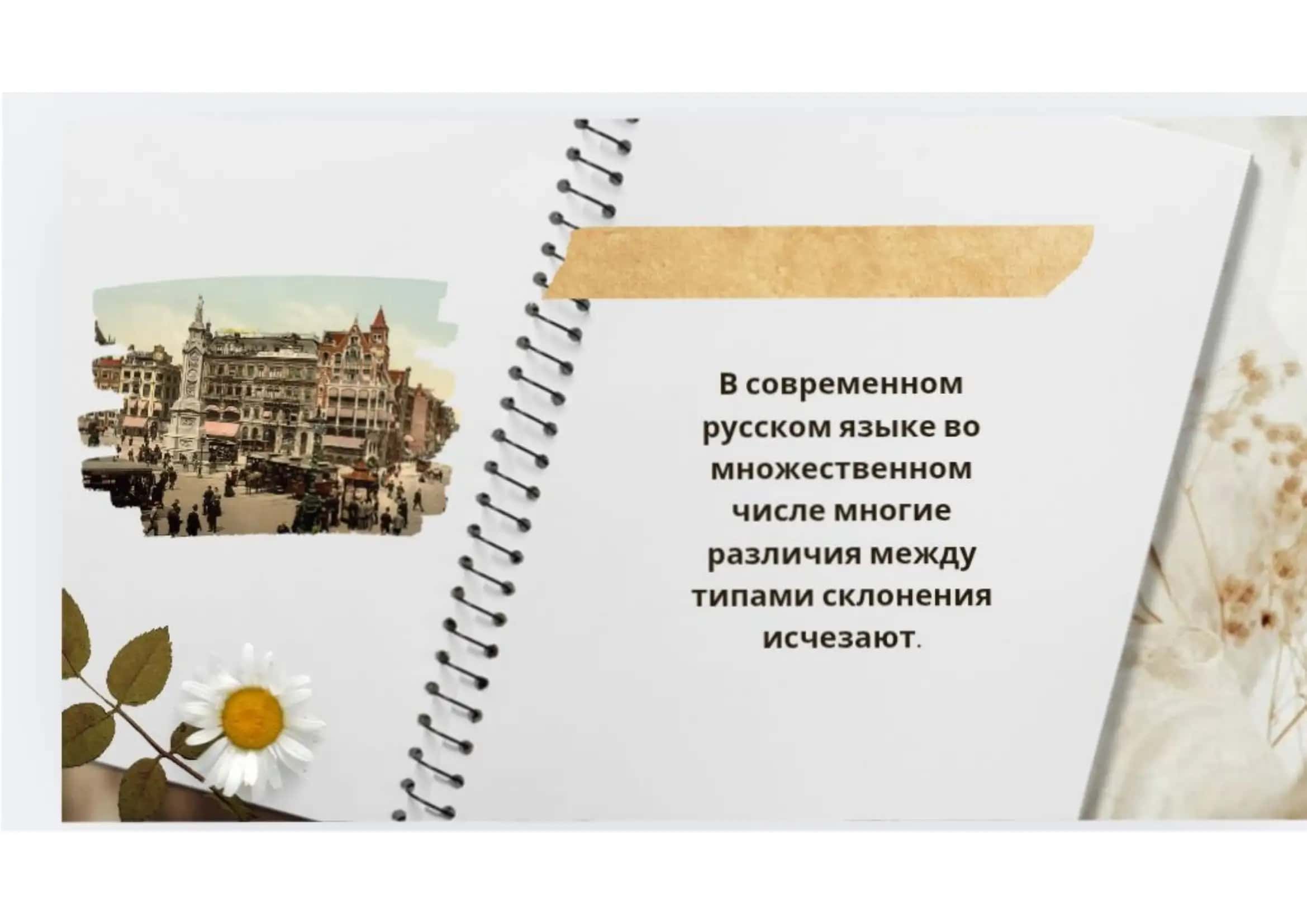 Унификация типов склонение во множественном числе 2