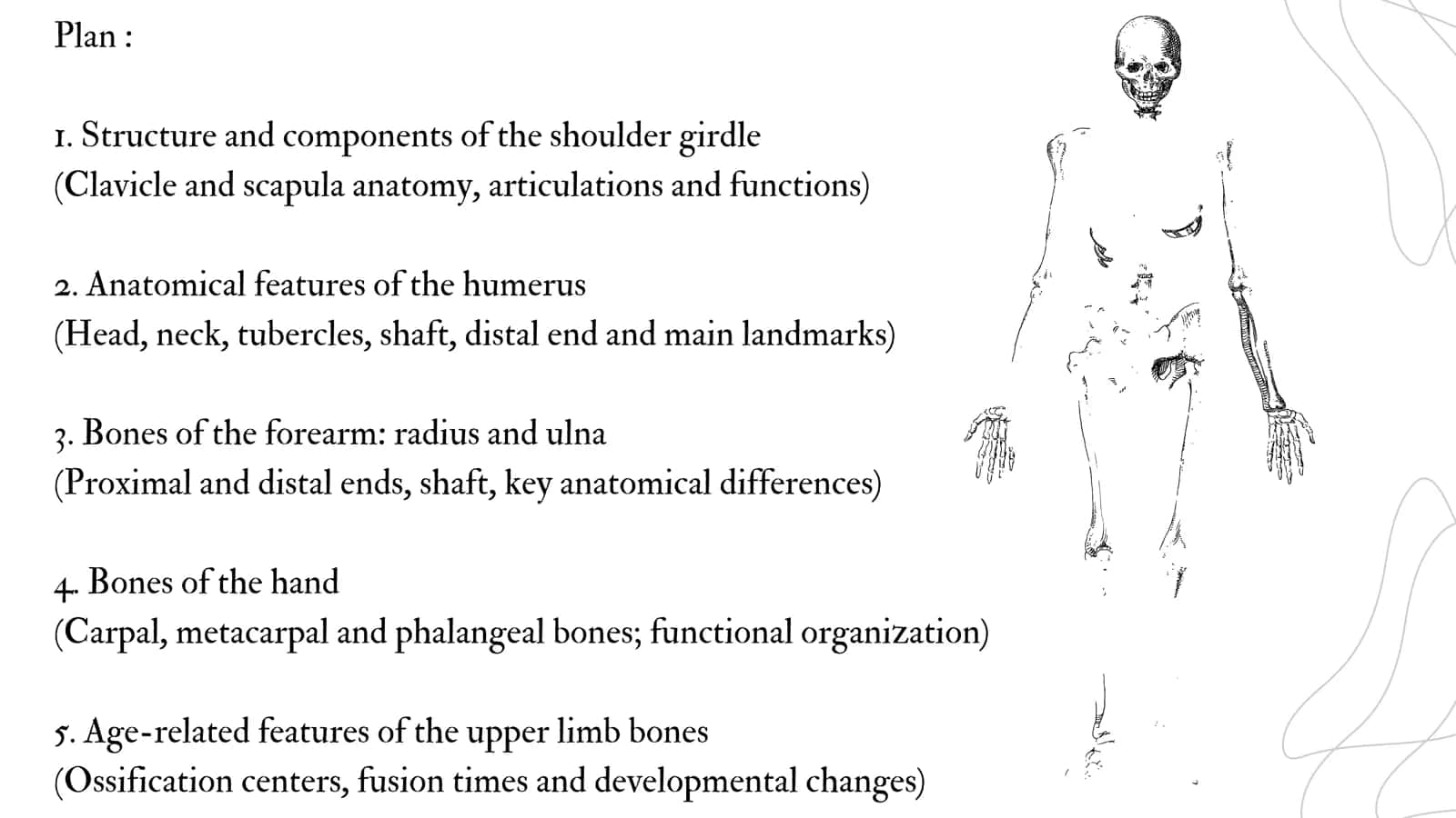 Bones of the Shoulder Girdle 2
