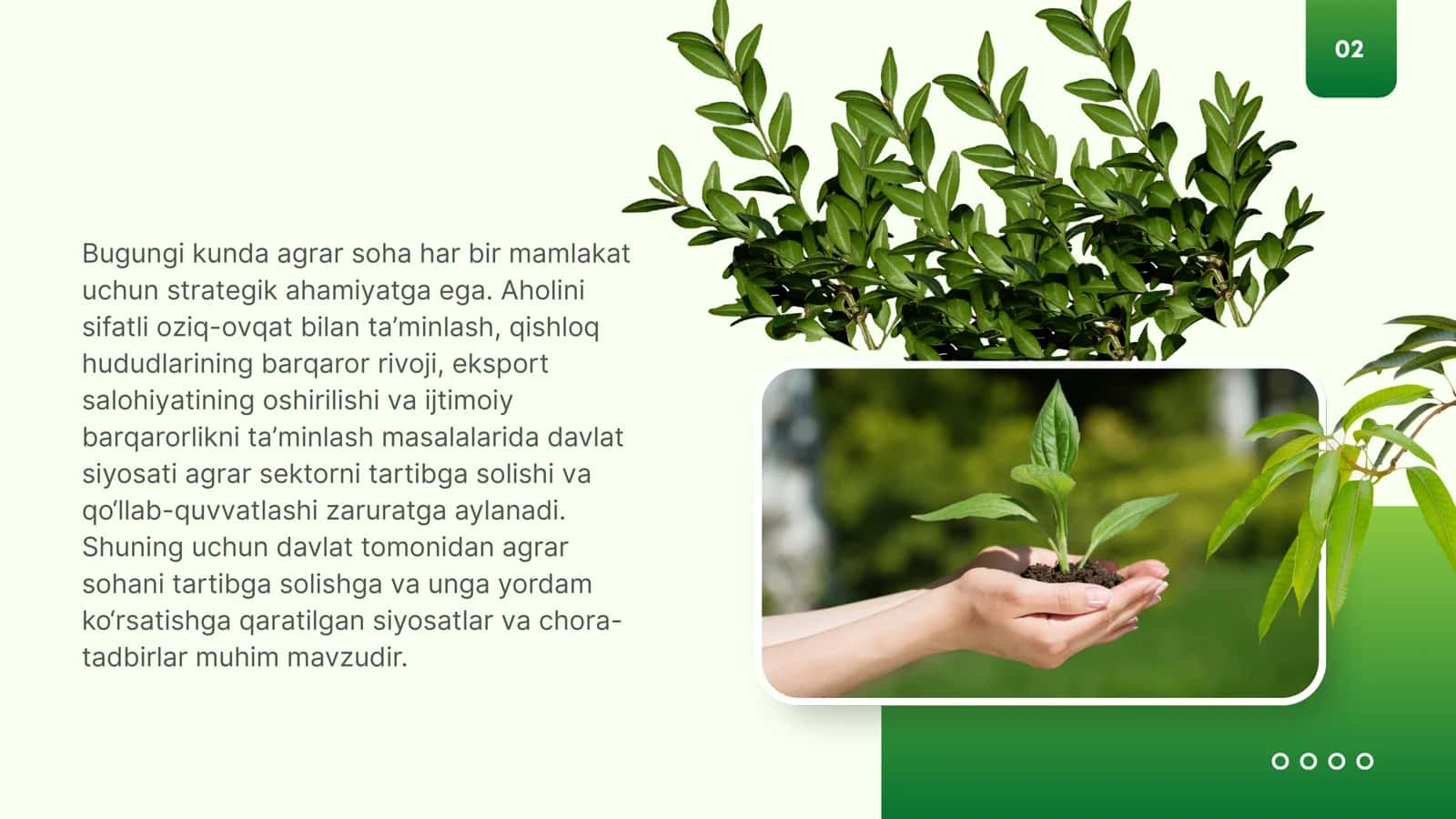 Agrar sohasini davlat tomonidan tartibga solish va qoʻllab-quvatlash 2