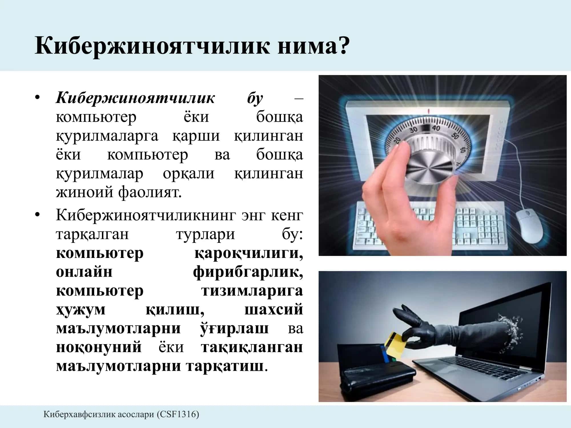 Кибержиноятчилик 2