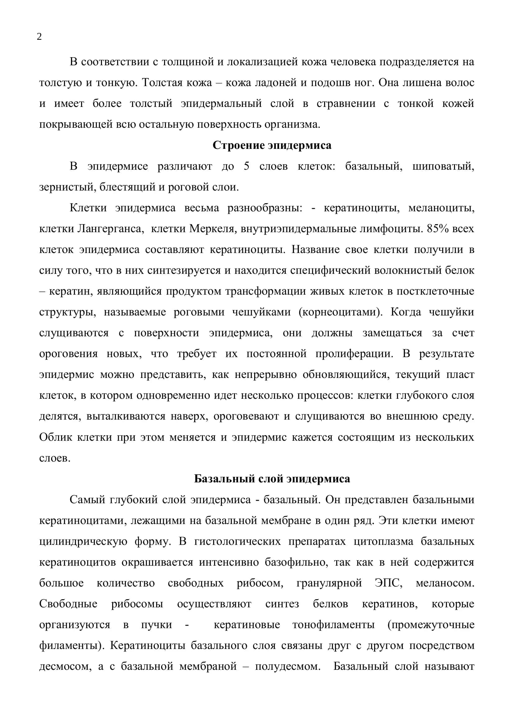 кожа и её производные 2