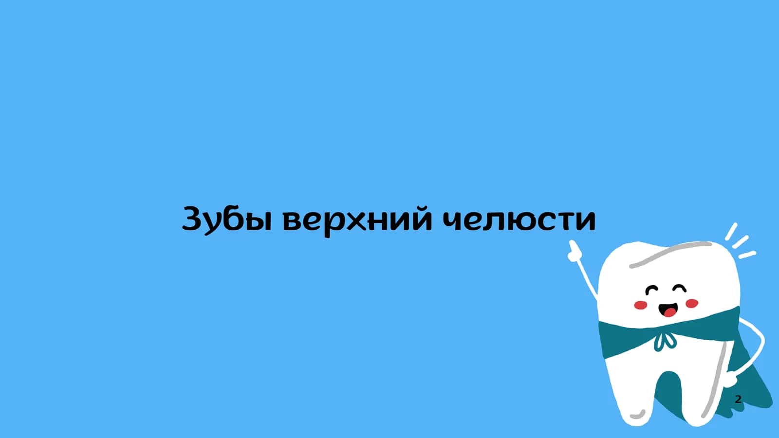 Анатомия зубов по эндодонтичемким критериям 2
