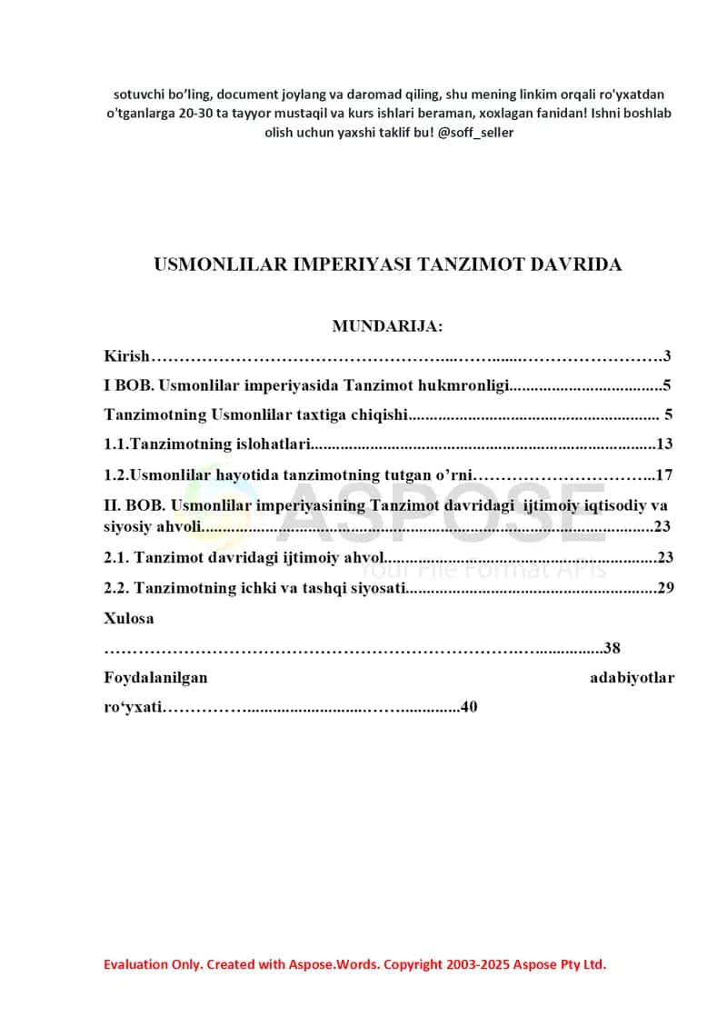 Usmonlilar imperiyasi Tanzimot davrida (Kurs ishi) 2