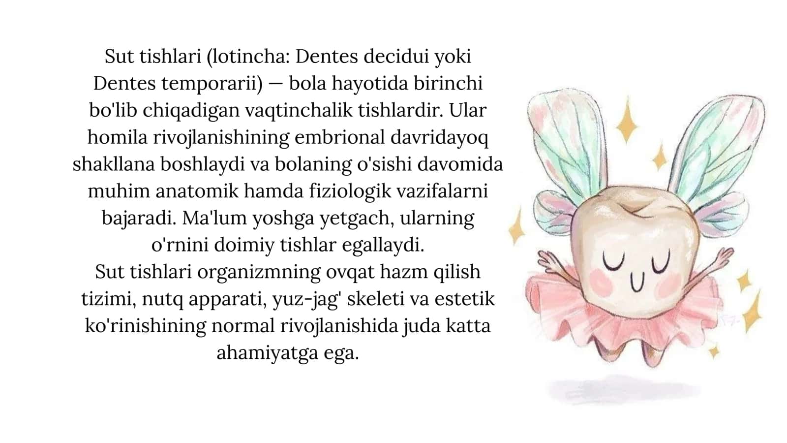 Sut tishlari: tuzilishi, rivojlanishi va xususiyatlari 2