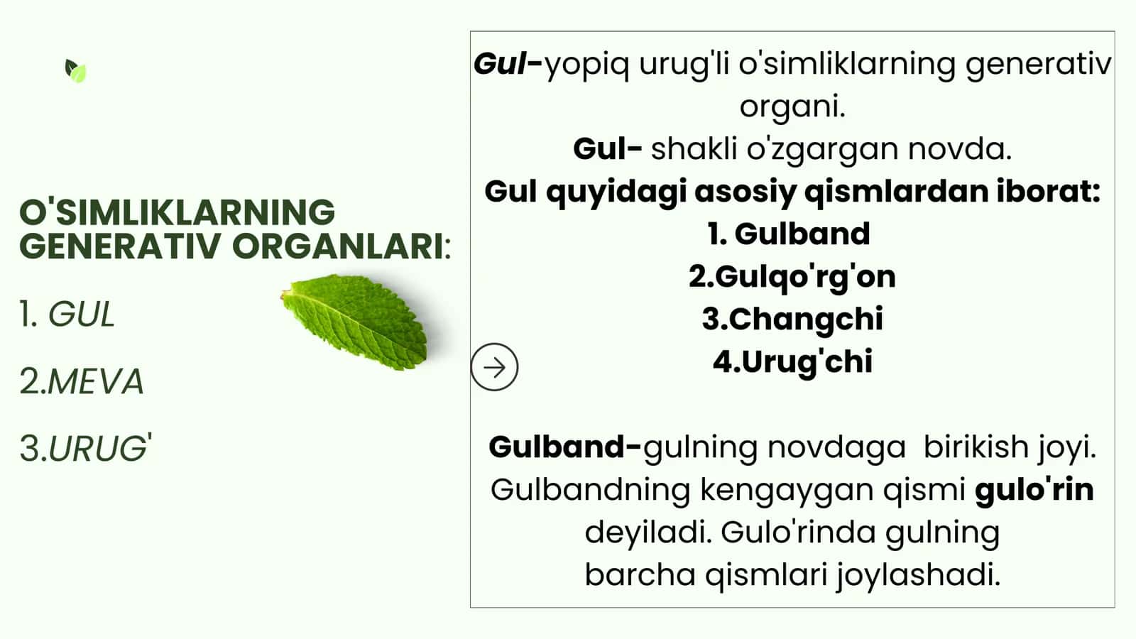O'Simliklarning Generativ Organlari 2