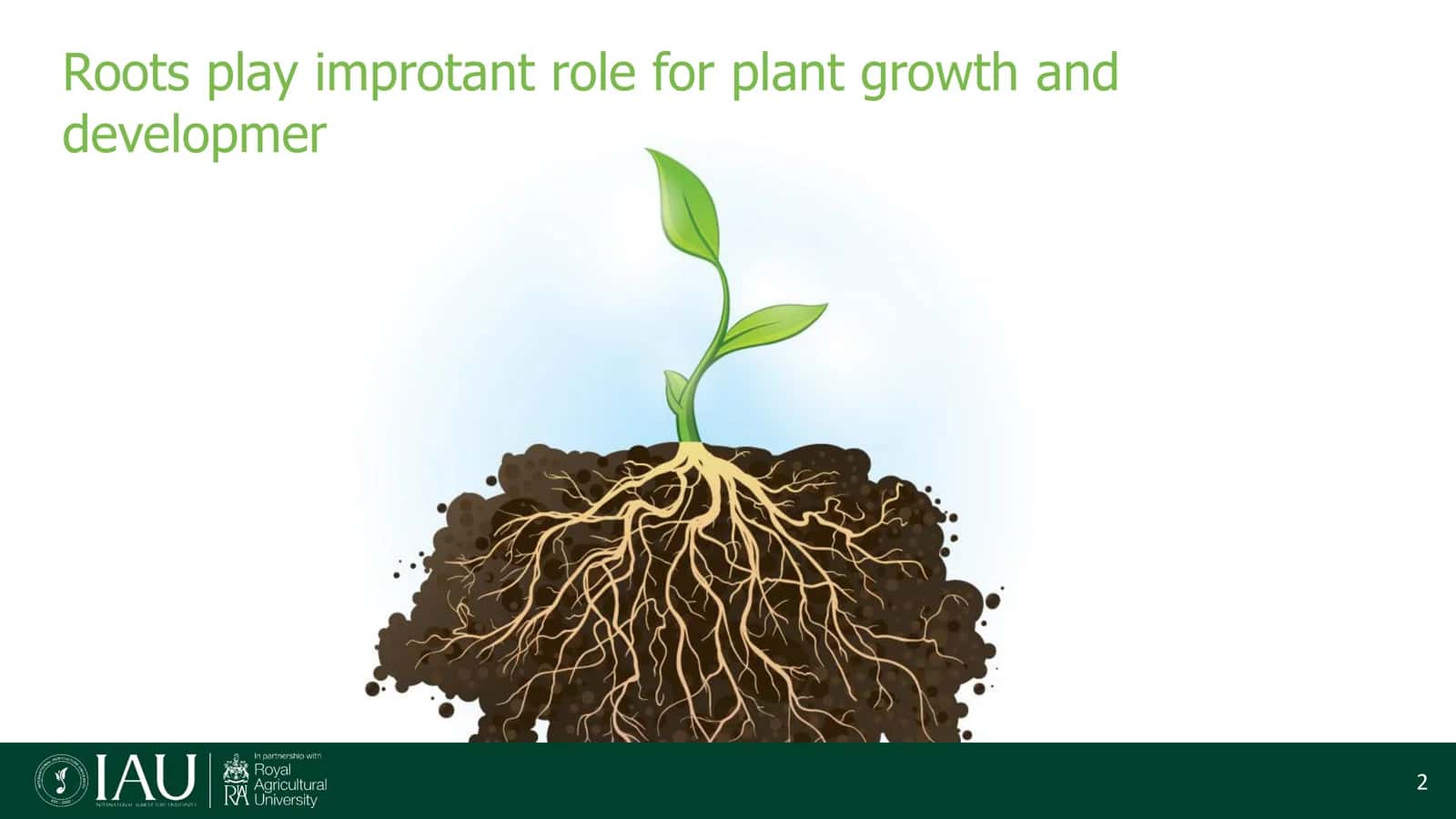Root Growth and Development 2
