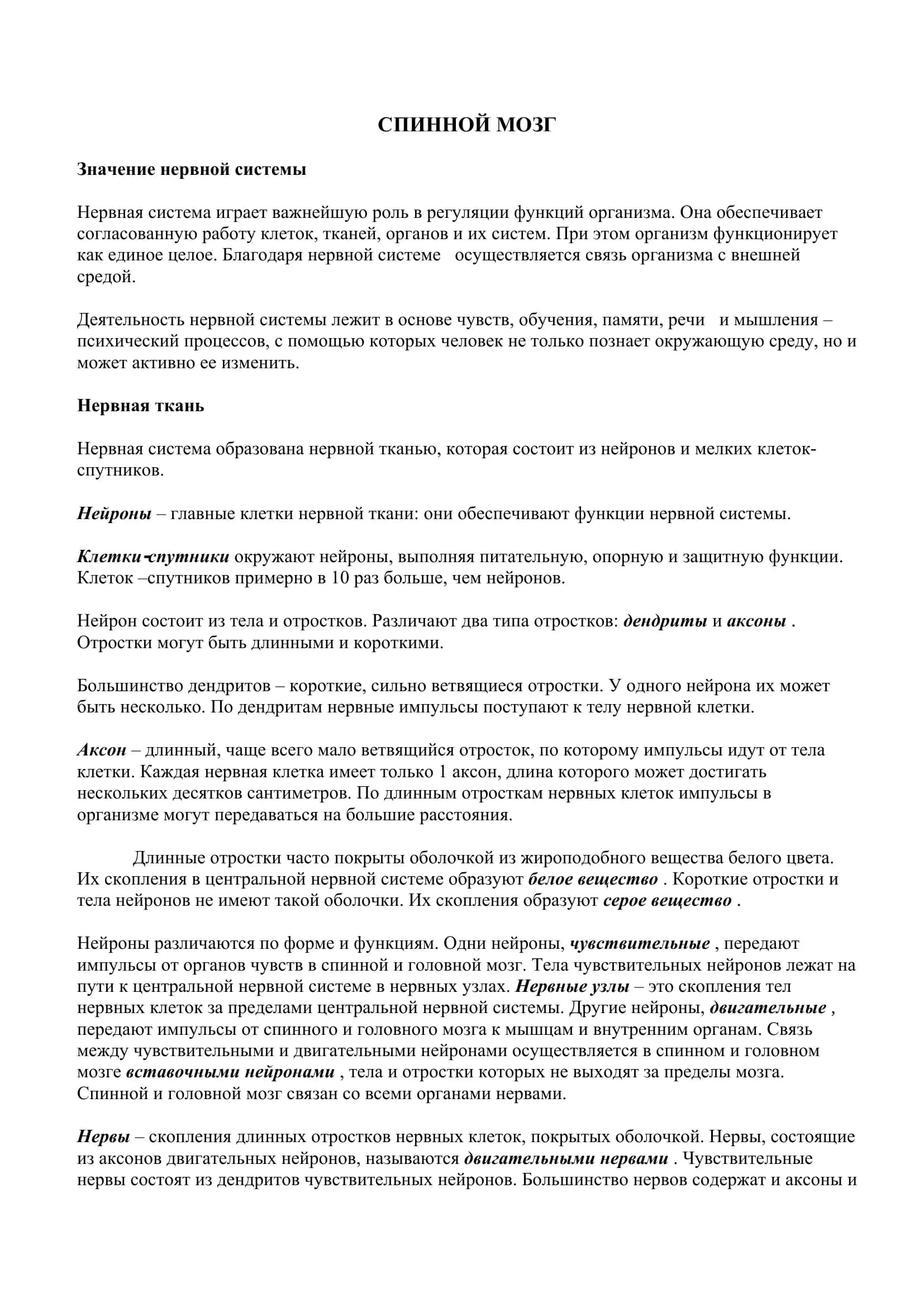 СПИННОЙ МОЗГ 2
