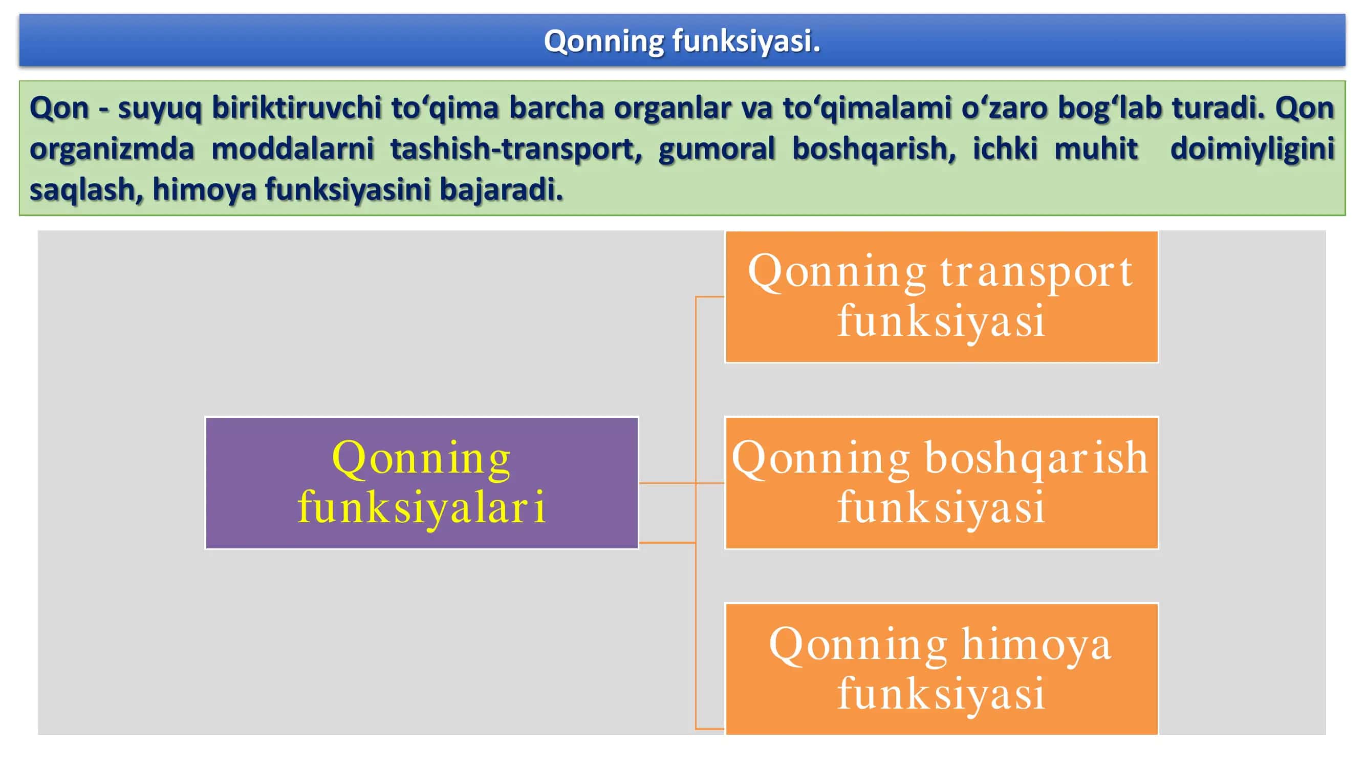 Qon va uning vazifasi 2