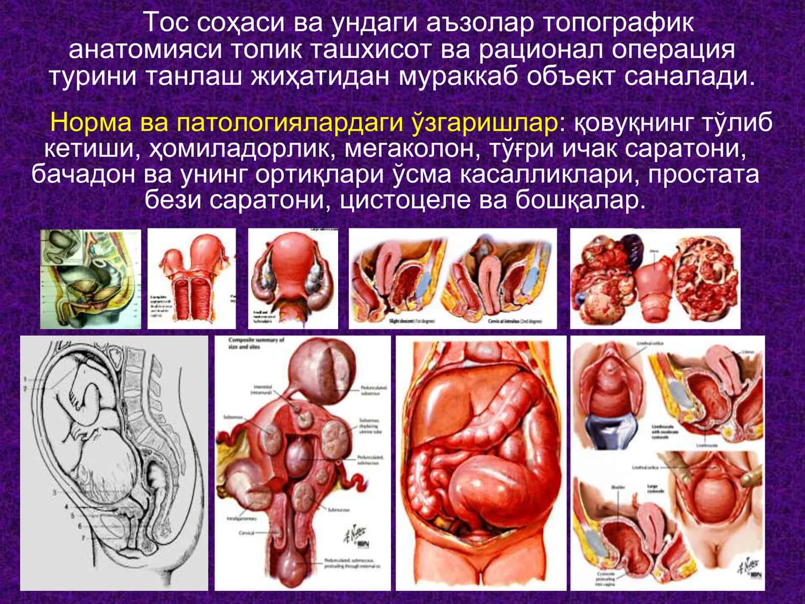 Топографик анатомияси 2