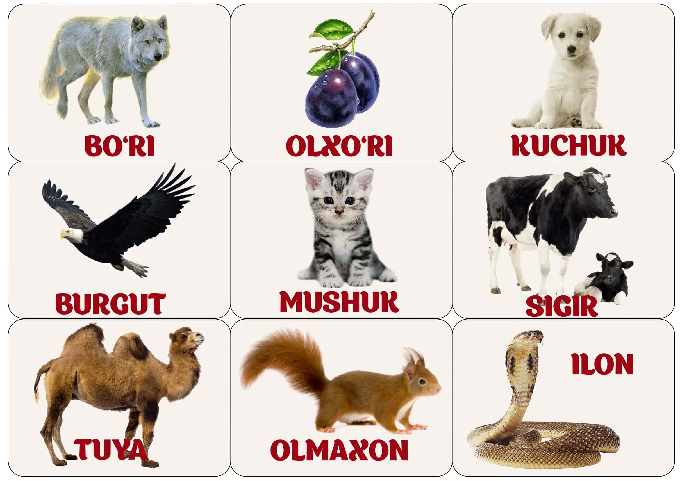 logopedik albom quvnoq alifbo 2