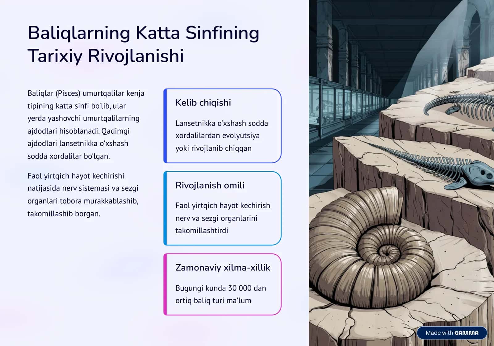 Baliqlarning Qiyosiy Tavsifi 2