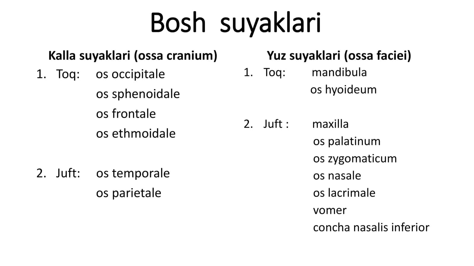 Ensa, peshona va tepa suyaklari 2