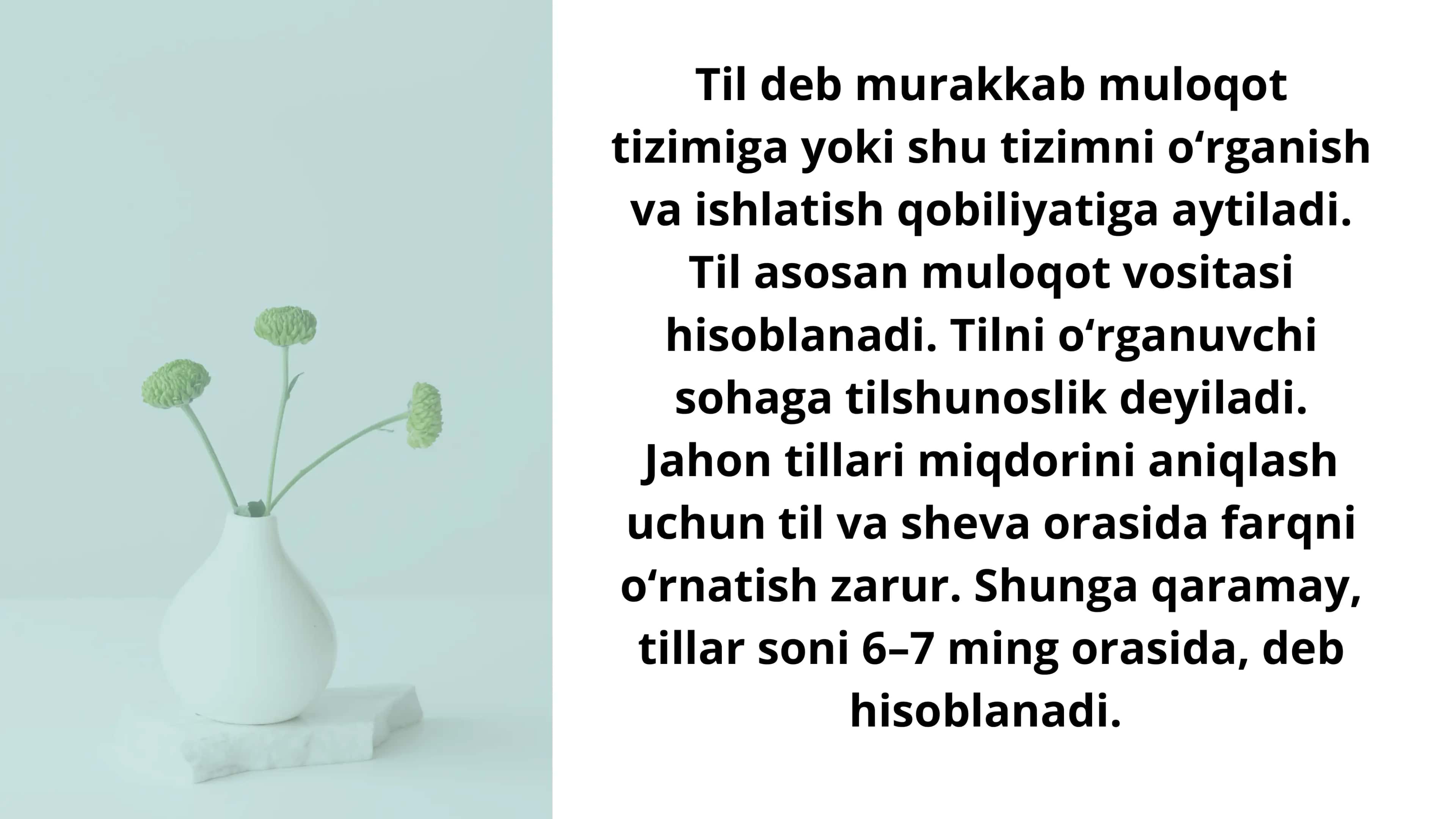 Til haqida umumiy ma'lumot 2