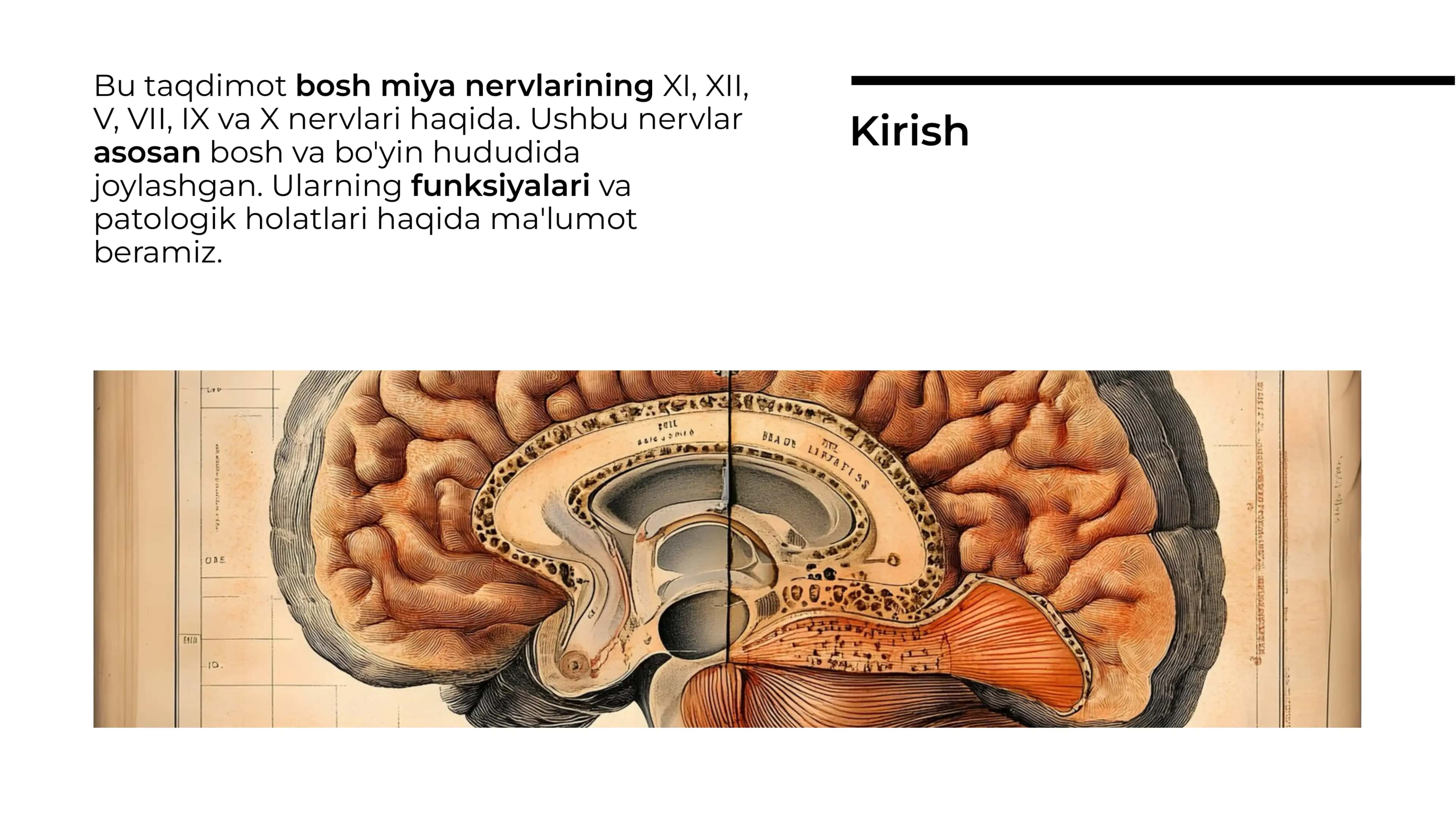 Bosh miya nervlari. XI-qo'shimcha nervi, XIi-tilosti nervi, V-uch shoxli nervi, VII-yuz nervi, IX-tilxalqum nervi , X-sayyor nervi tekshirish usullari va patalogiyasi 2
