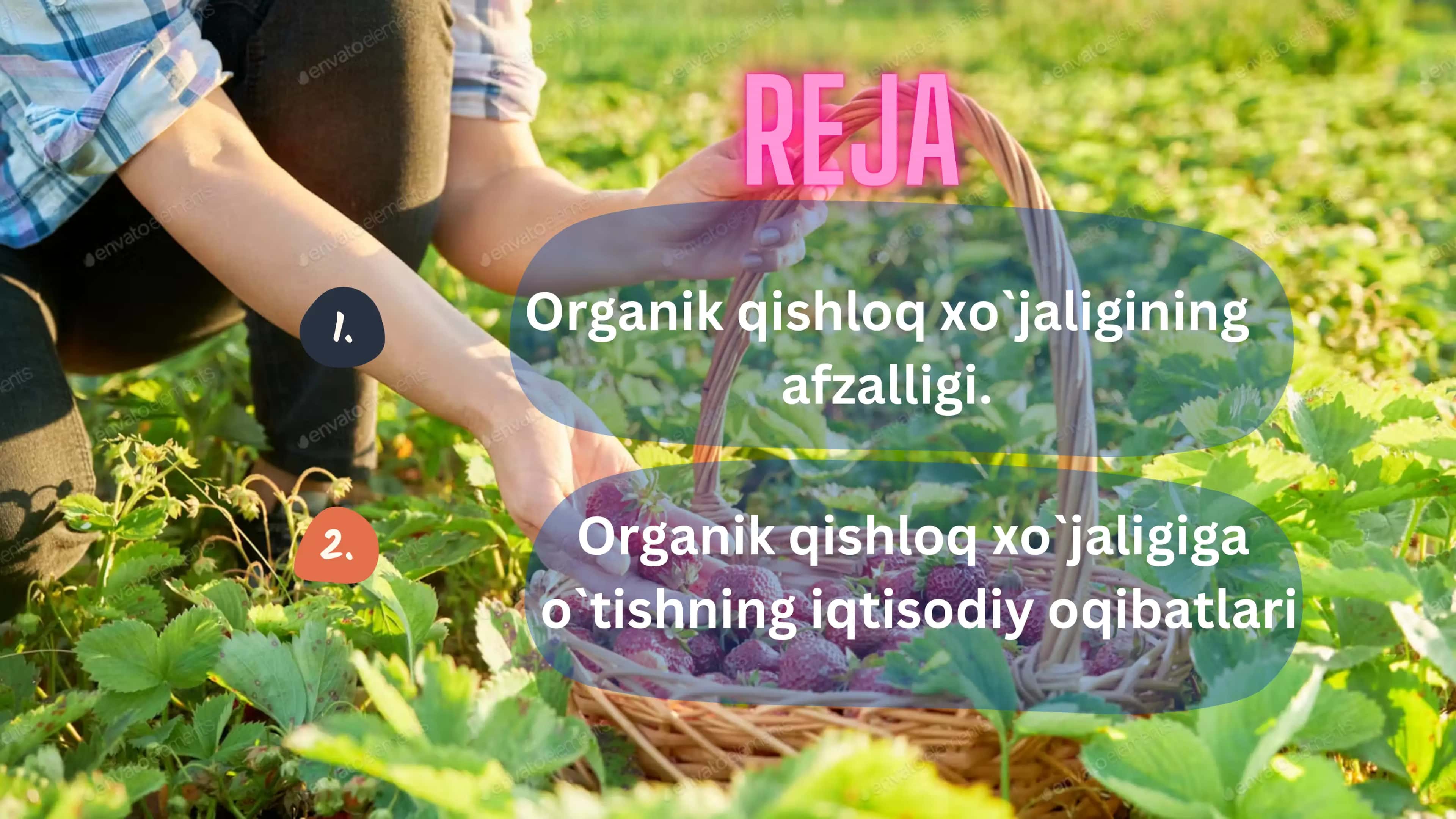Organik qishloq xo`jaligiga o`tishning xususiyatlari 2