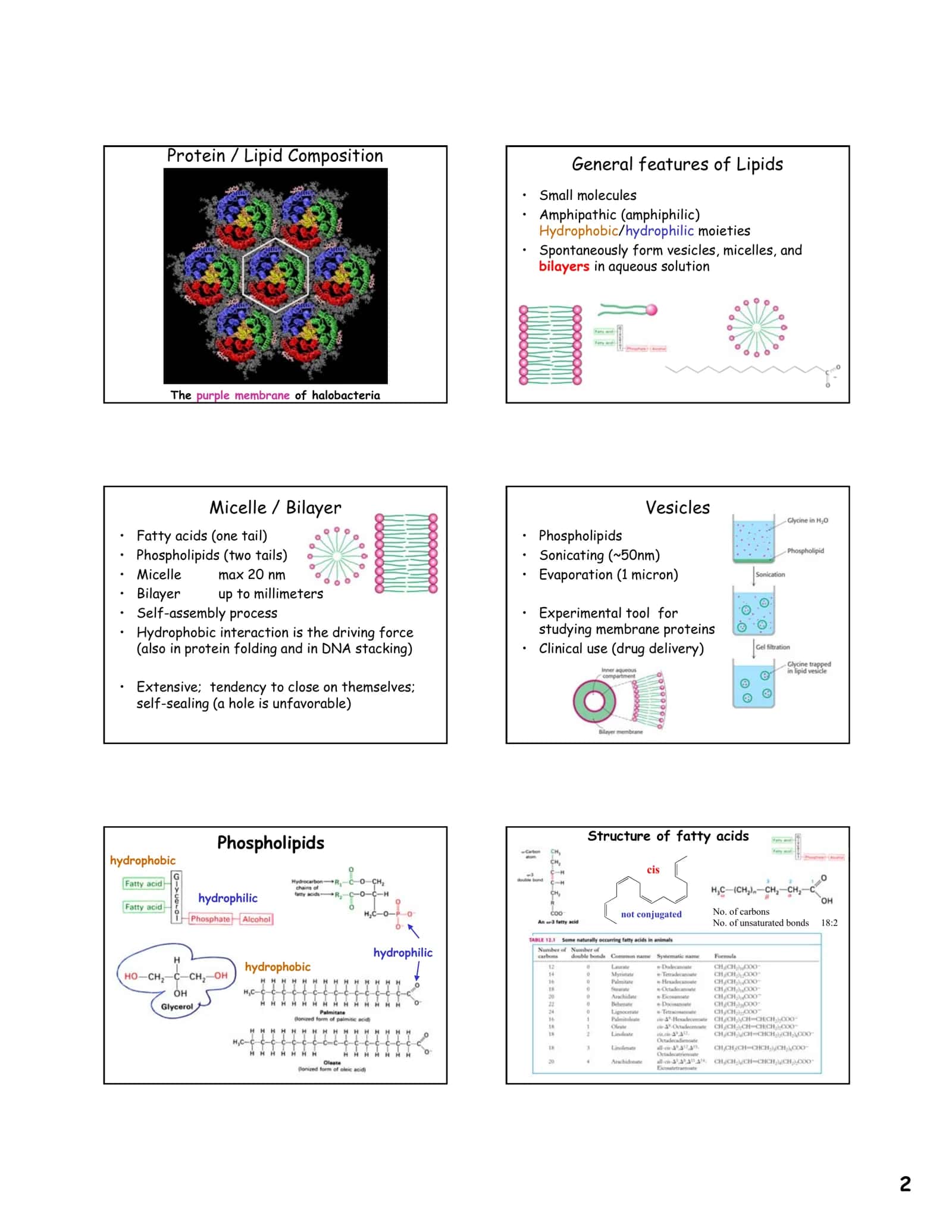 Biological Membranes 2