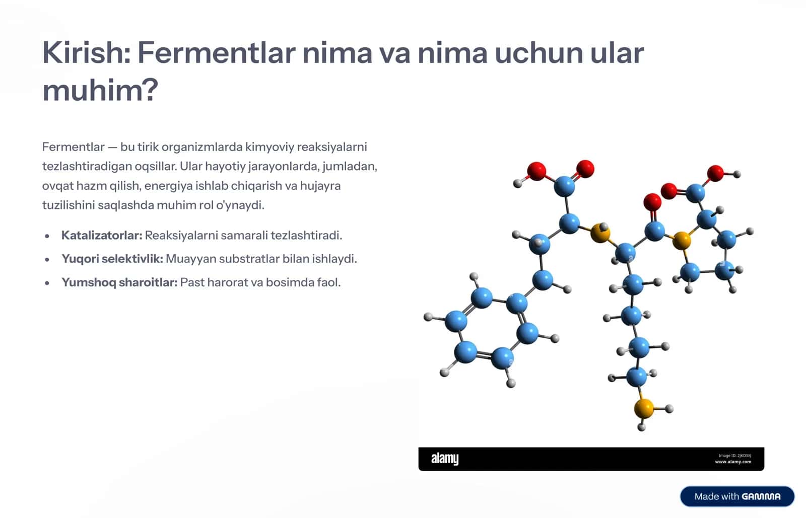 Fermentlar sanoati: Innovatsiyalar va kelajak 2