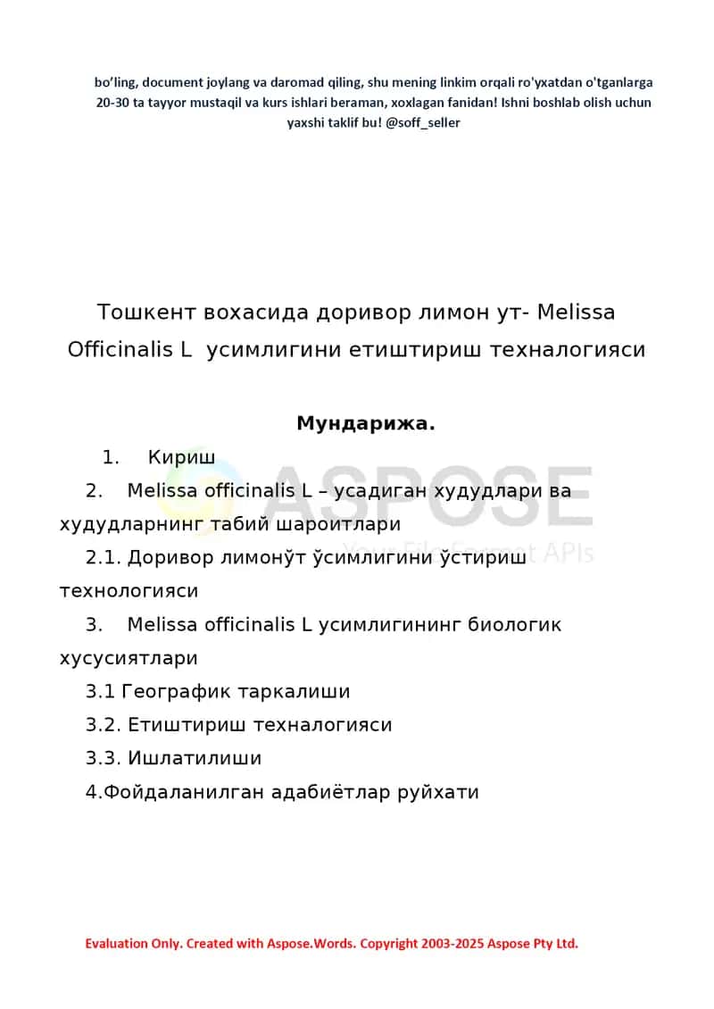 Toshkent vohasida dorivor limon oʻt (Melissa officinalis L) oʻsimligini yetishtirish texnologiyasi 2