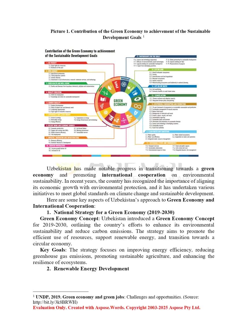 Green Economy and International Cooperation: Global Initiatives and Agreements 2
