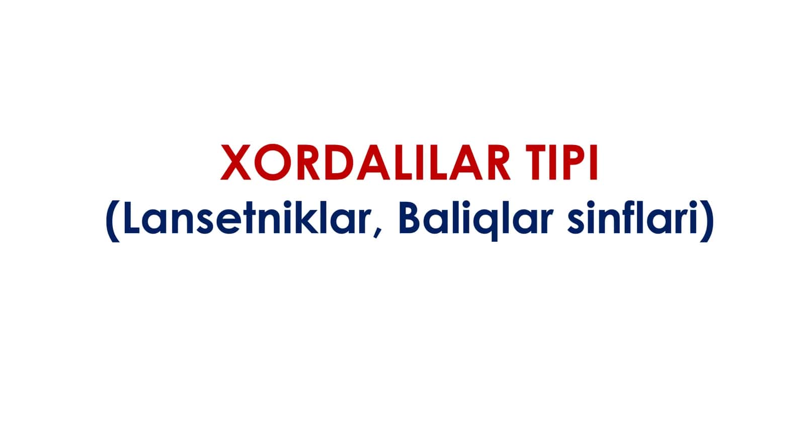 XORDALILAR TIPI 2