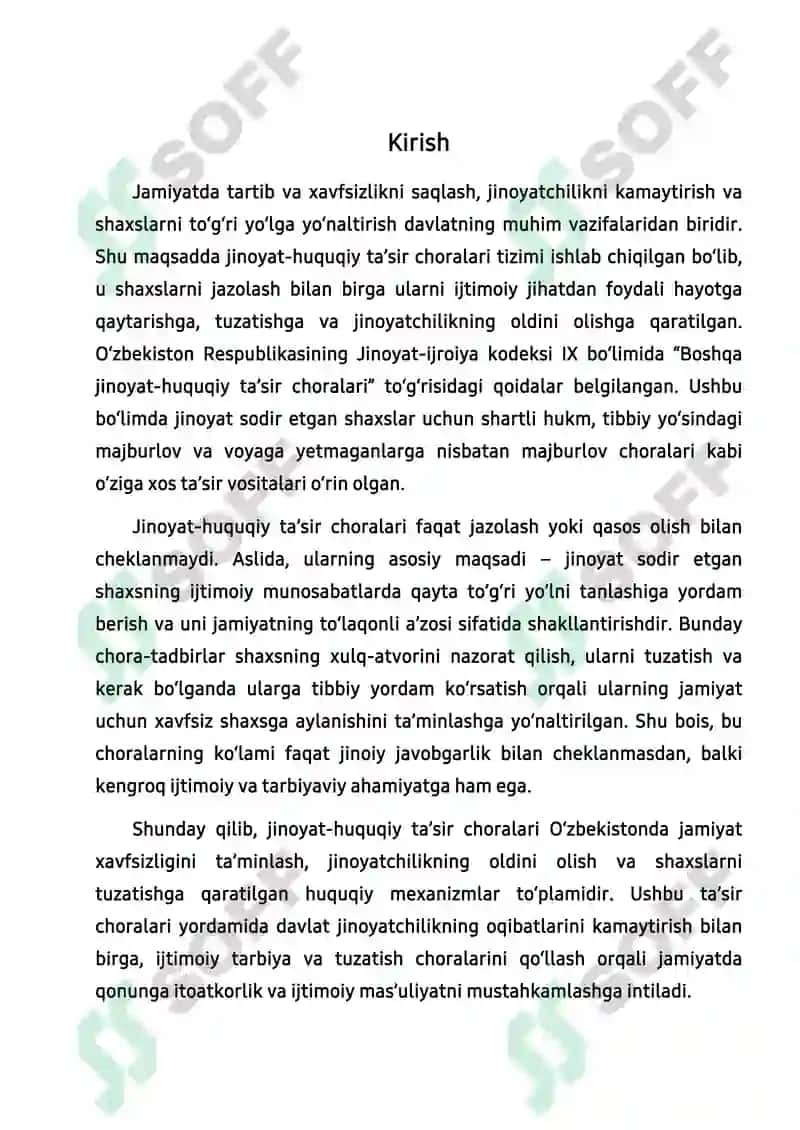 Boshqa jinoyat-huquqiy ta’sir choralarini ijro etish 2