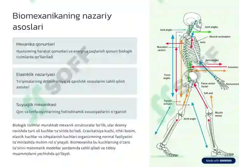 Biomexanika,bioreologiya va gemodinamika asoslari 2