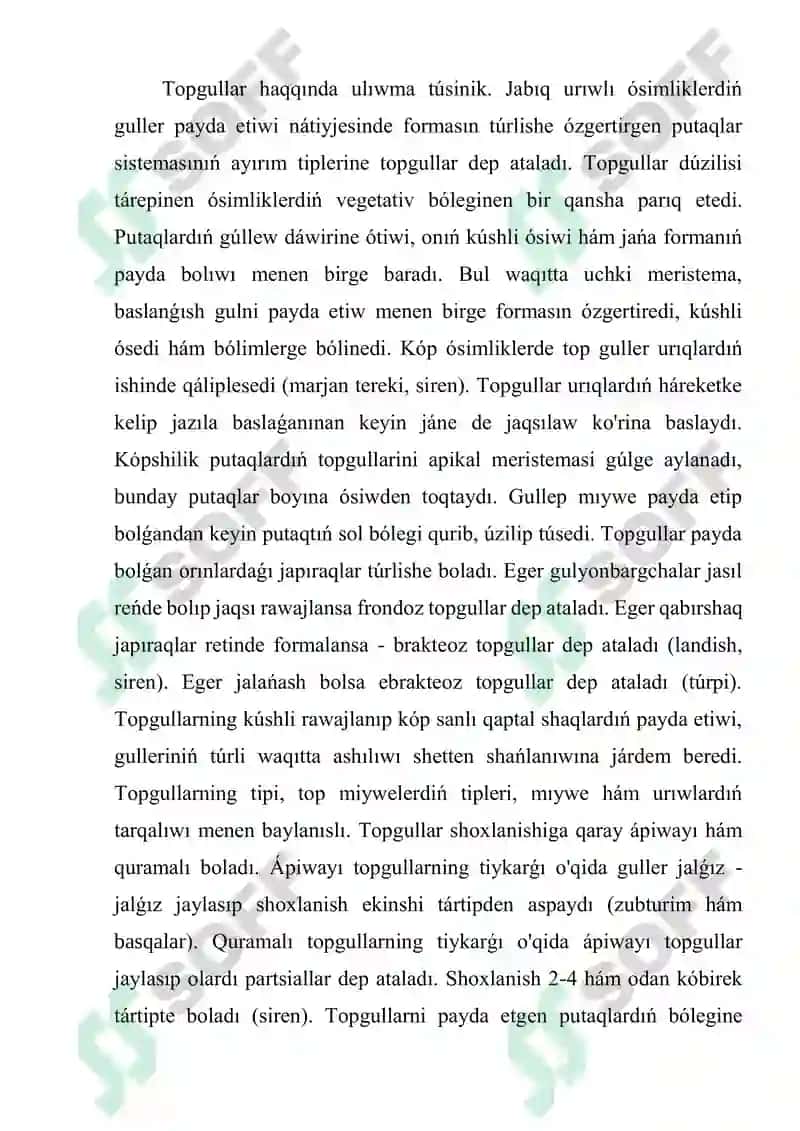 Apiwayi ham quramali topgul 2