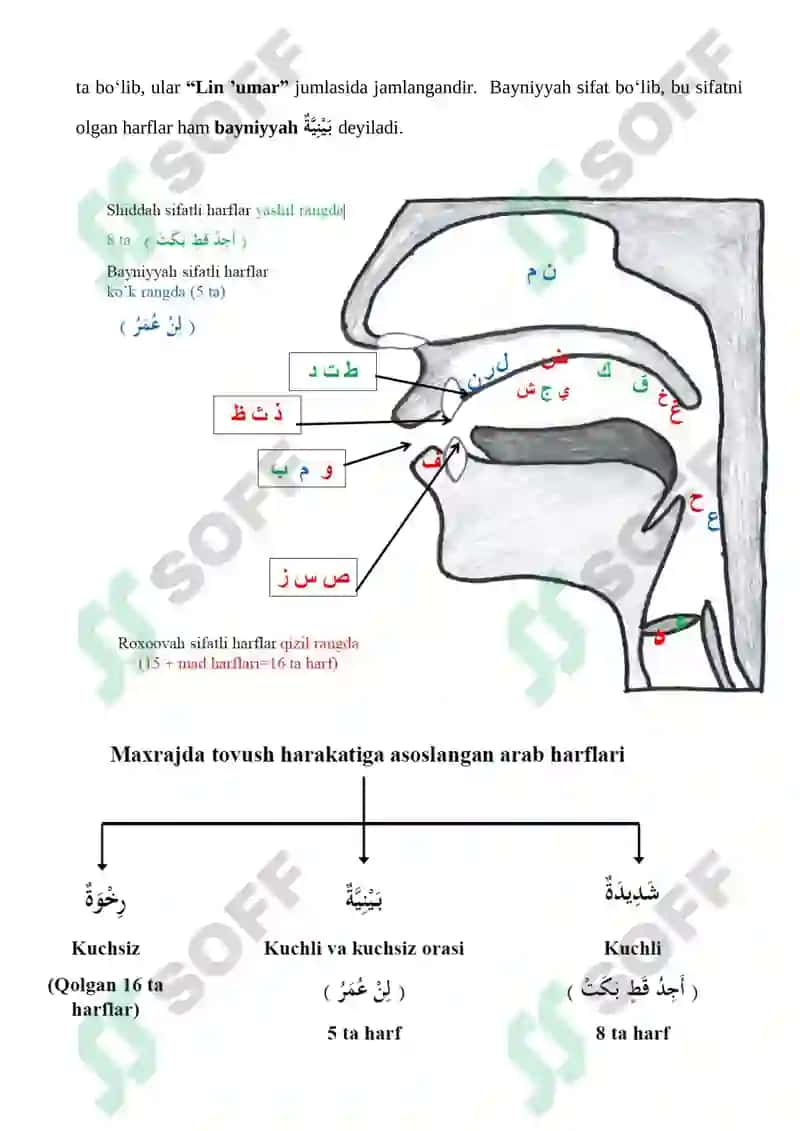 Harf maxrajida yuzaga chiqadigan 3 xil sifatlar 2
