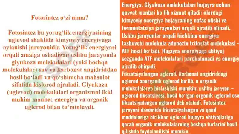 Fotosintez va fotokatalitik jarayon 2