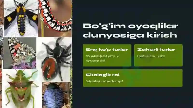 Zaxarli boʼgʼim oyoqlilar 2