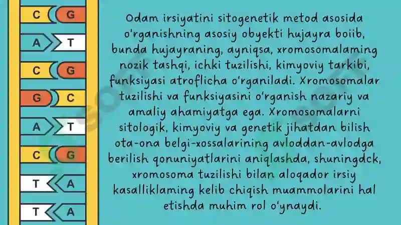 inson genetikasi 2