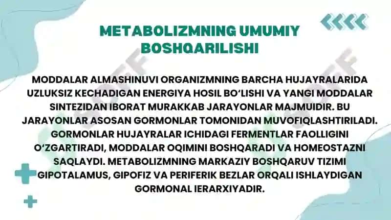 Moddalar almashinuvi va funksiyalarini gоrmоnlаr orqali boshqarilishi. 2