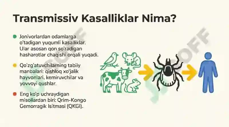 Transmissiv Kasalliklar: Kichik Dushmanlarga Qarshi Katta Qo1llanma. Ku isitmasi 2