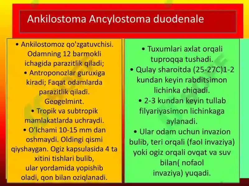 YUMALOQ CHUVALCHANGLAR-ODAM PARAZITLARI EGRI BOSHLI GIJJA, TRIXINELLA, RISHTA 2