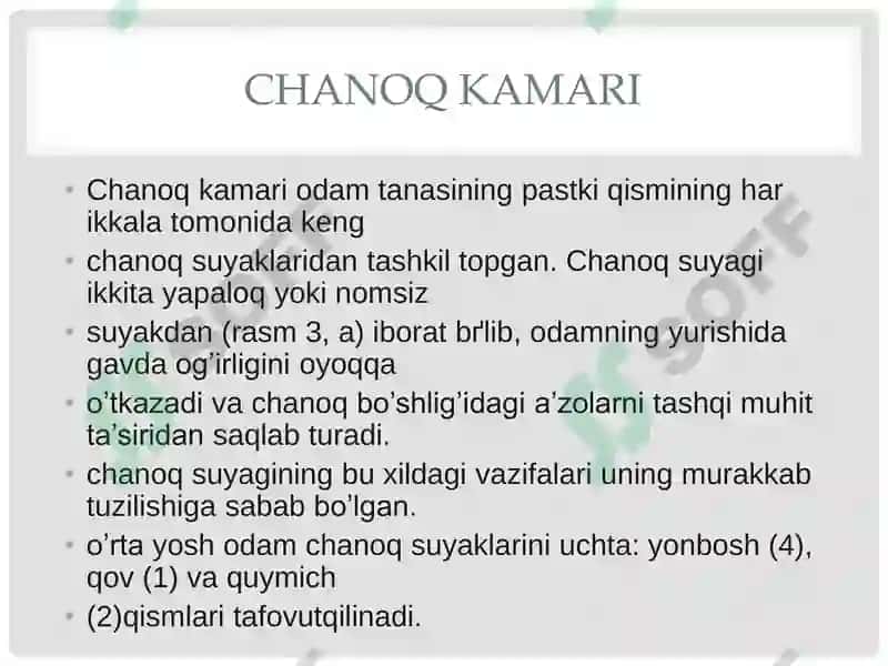 Chanoq kamari va oyoqning erkin suyaklari 2
