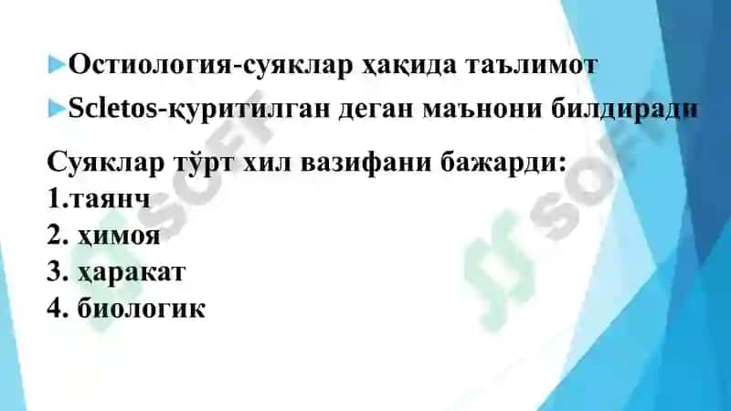 ОСТИОЛОГИЯ 2