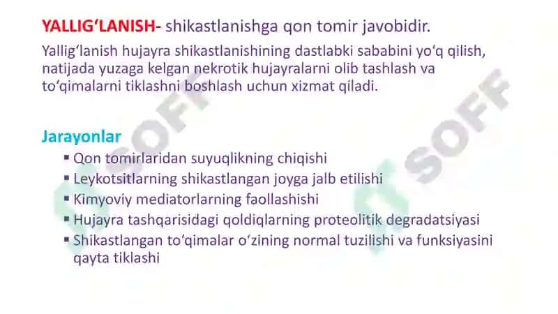 yalliglanish 2