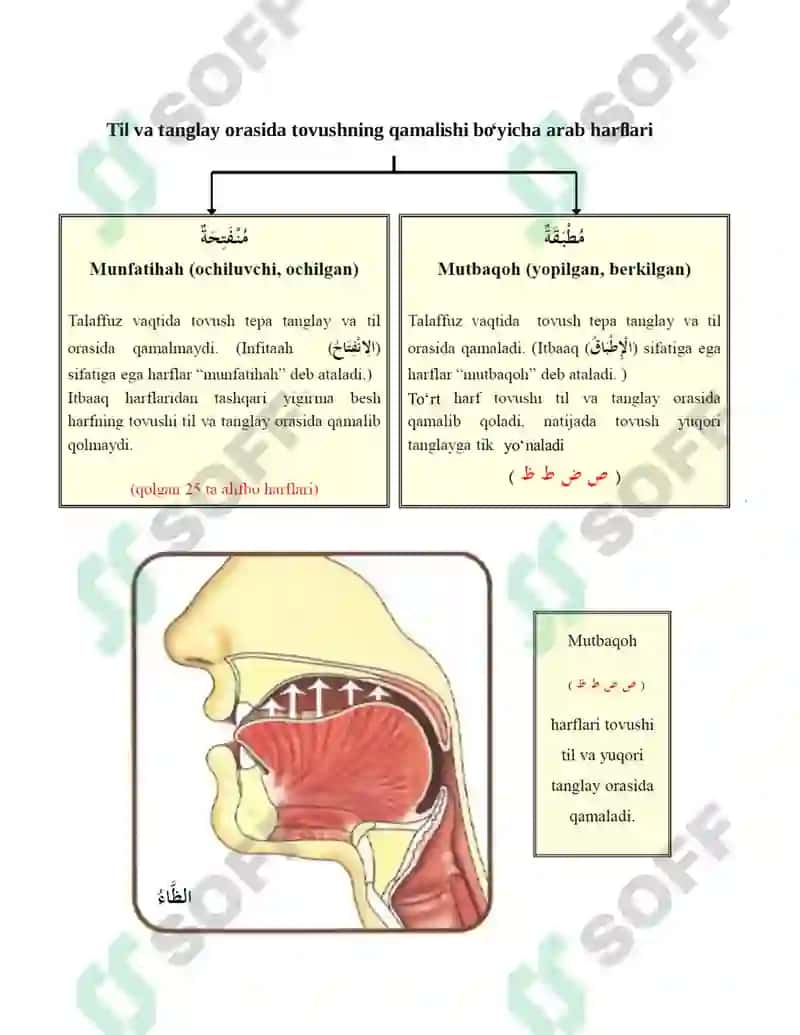 Tovush qamalishiga ko‘ra itbaaq va infitaah sifatlari 2
