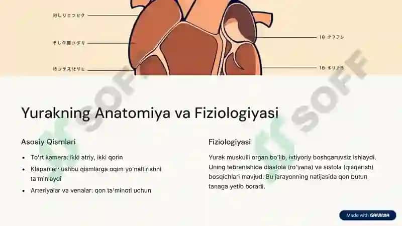 Yurak hayotning markazi 2